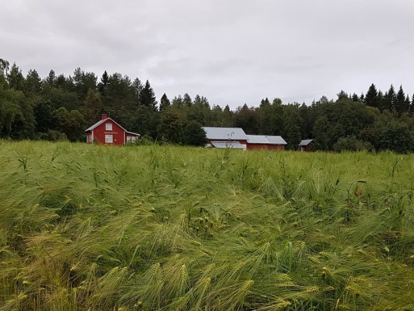 Perinteiset maisemat kunniaan