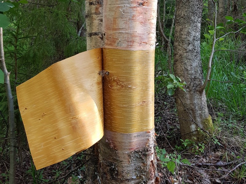 Tuohikuussa tarpeet uusiin&nbsp;projekteihin