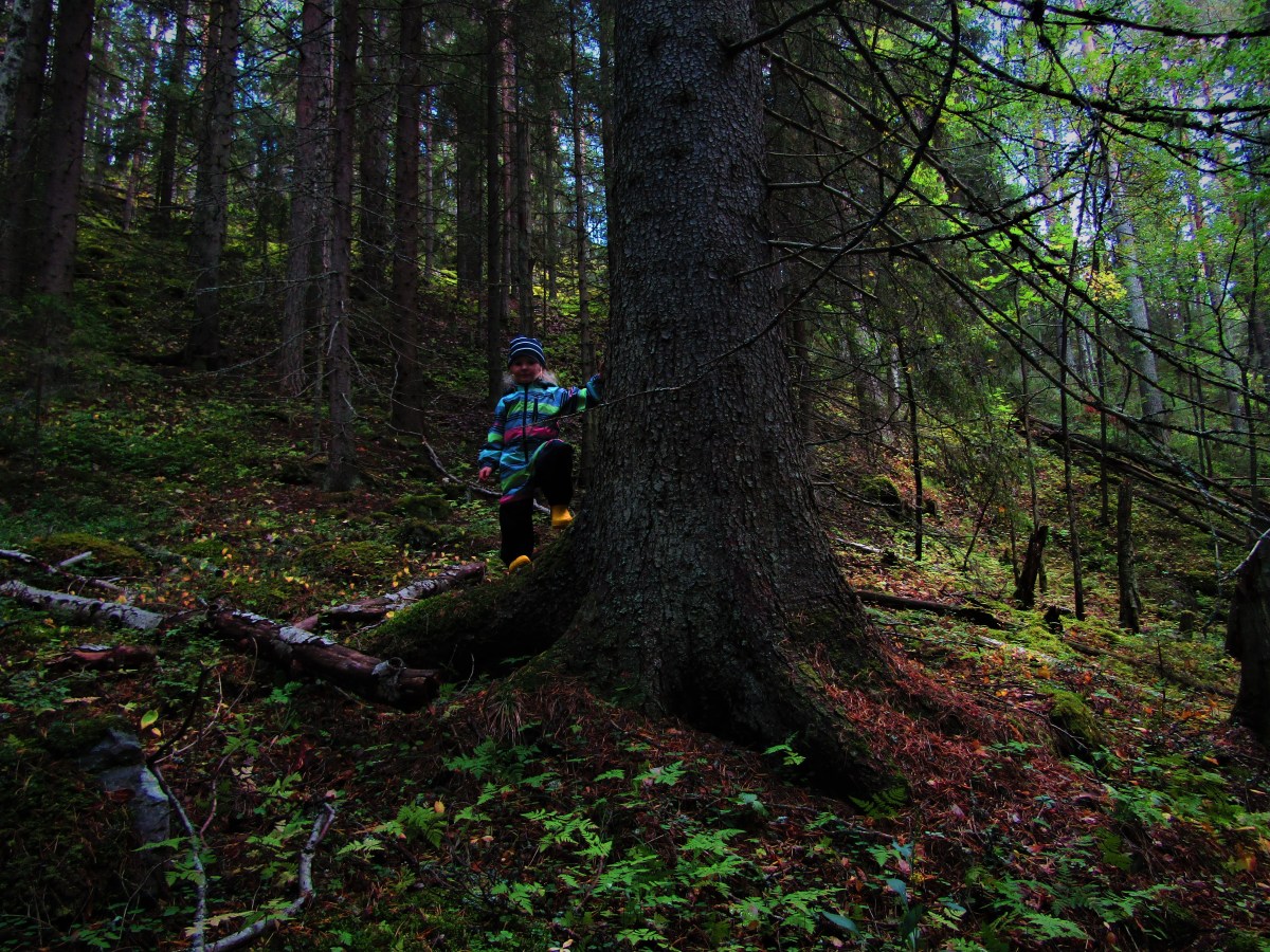 Retkellä lähellä mutta niin&nbsp;kaukana